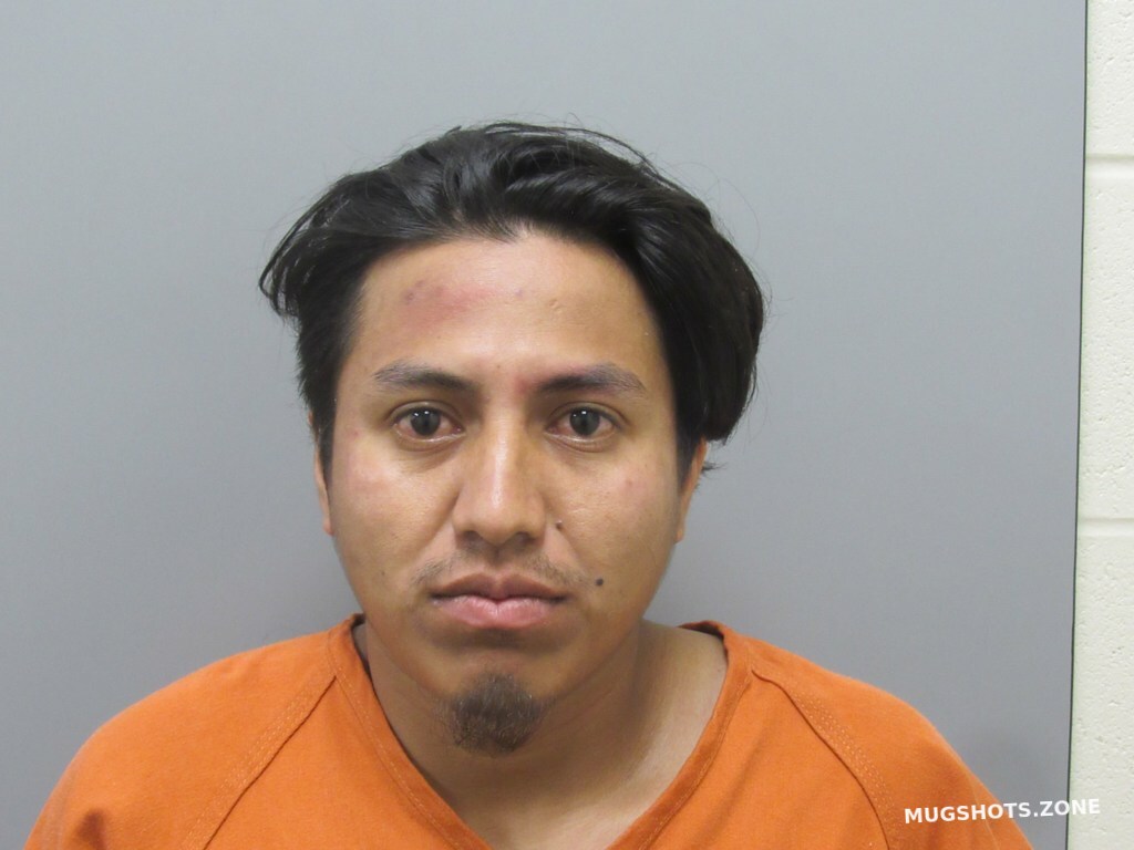 VASQUEZ-GONZALEZ LUIS ENRIQUE 05/30/2024 - Harris County Mugshots Zone