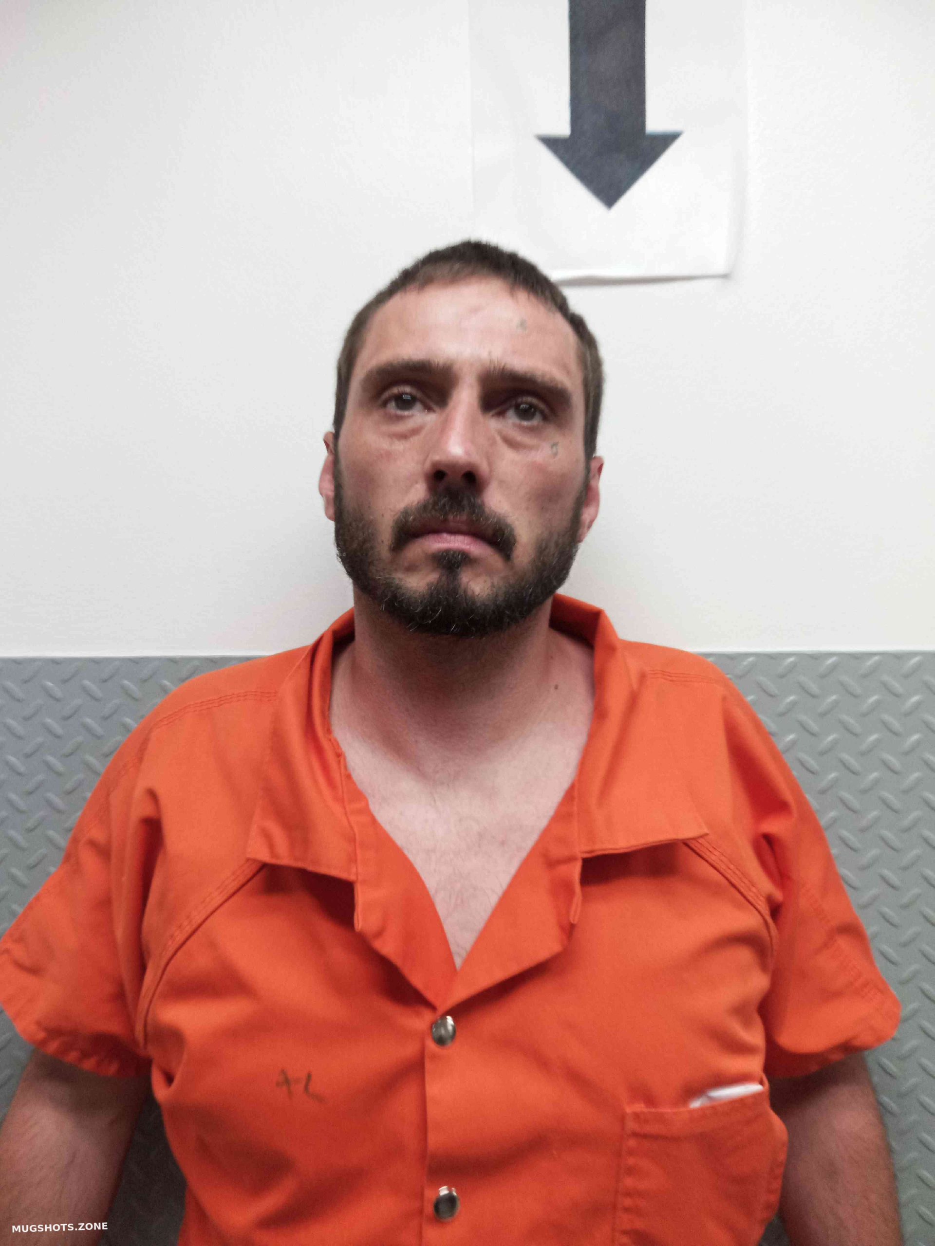 HAMMER DAVID 06/06/2024 Hart County Mugshots Zone