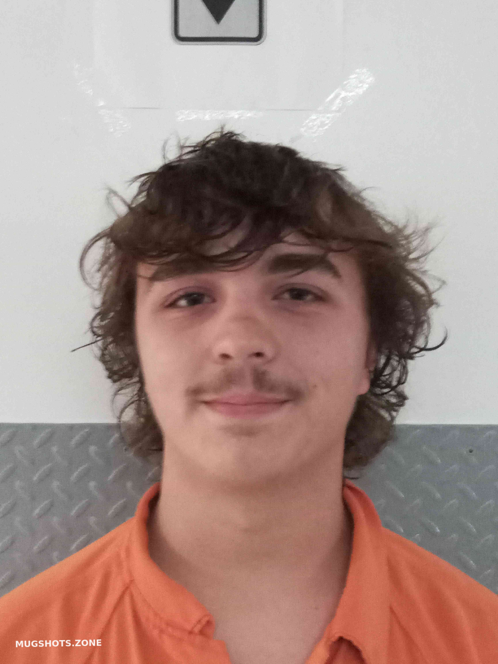CLARK DUSTIN 06/29/2025 Hart County Mugshots Zone