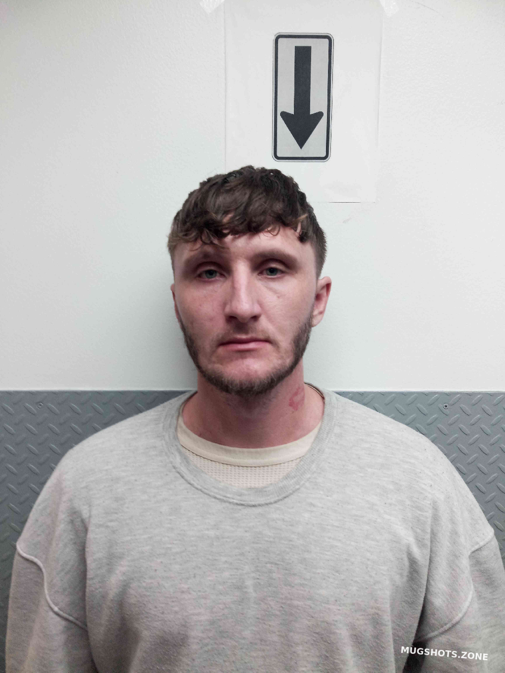 RIGGS JACKIE 12/16/2025 - Hart County Mugshots Zone