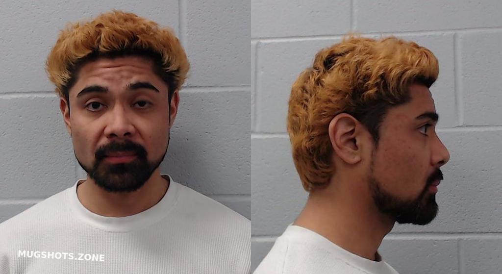 GUEVARA RICARDO 03/11/2022 Hays County Mugshots Zone