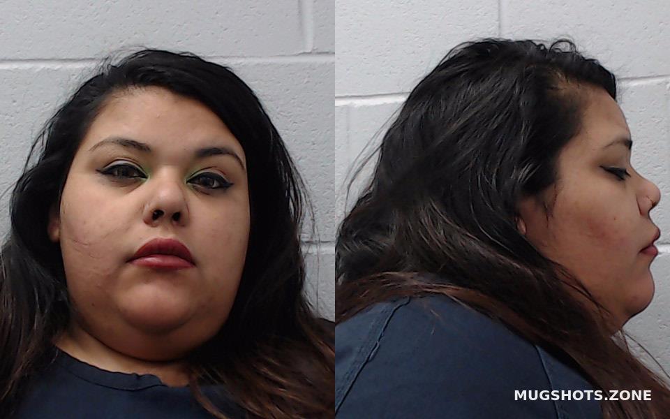 ABREGO ANGELICA MARIE 01/19/2023 - Hays County Mugshots Zone