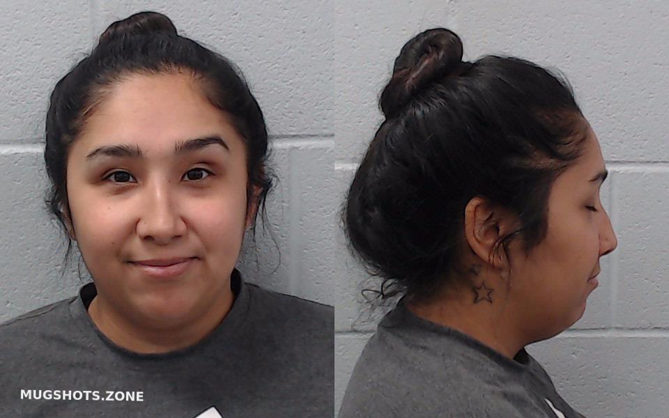 ALANIZ CASSANDRA LYNN 05/05/2023 Hays County Mugshots Zone