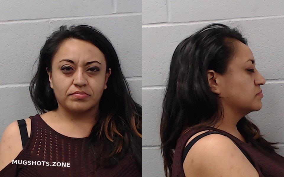 REYES MONICA 02/08/2024 Hays County Mugshots Zone