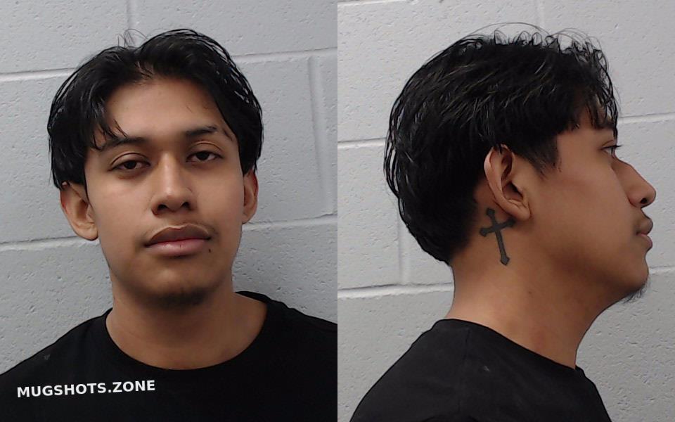 TELLEZ TONCHE GUADALUPE 03/20/2024 - Hays County Mugshots Zone