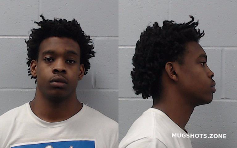 WILLIS MALIK 02/23/2025 - Hays County Mugshots Zone