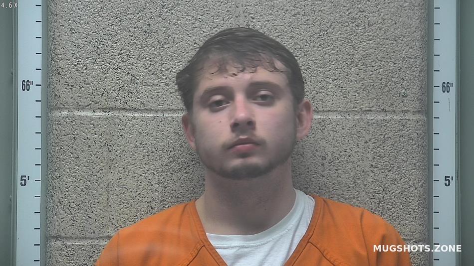 DAVIS ZACHARY 02/17/2022 - Henderson County Mugshots Zone