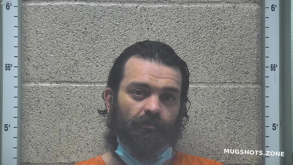 GOINS ROGER DALE 03/21/2022 Henderson County Mugshots Zone