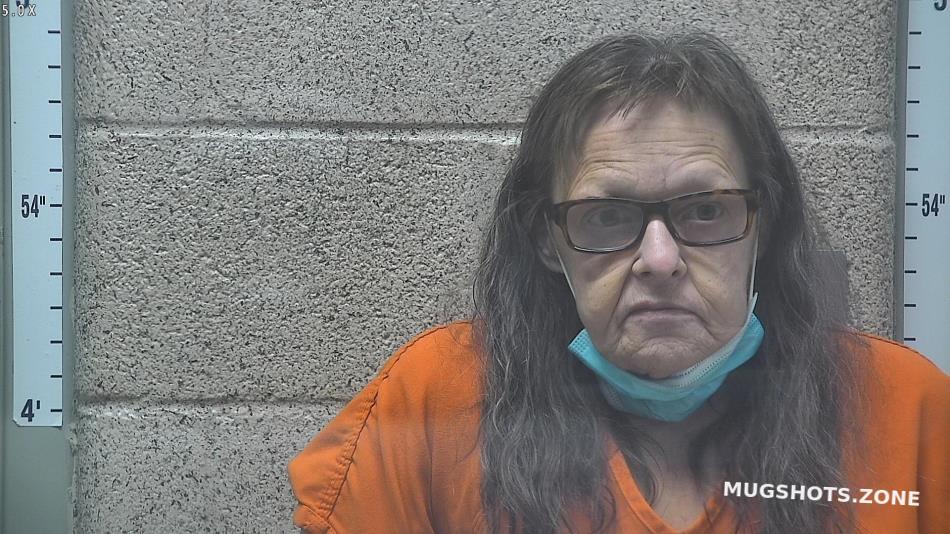 SHEARER DEBORAH 08/13/2022 Henderson County Mugshots Zone