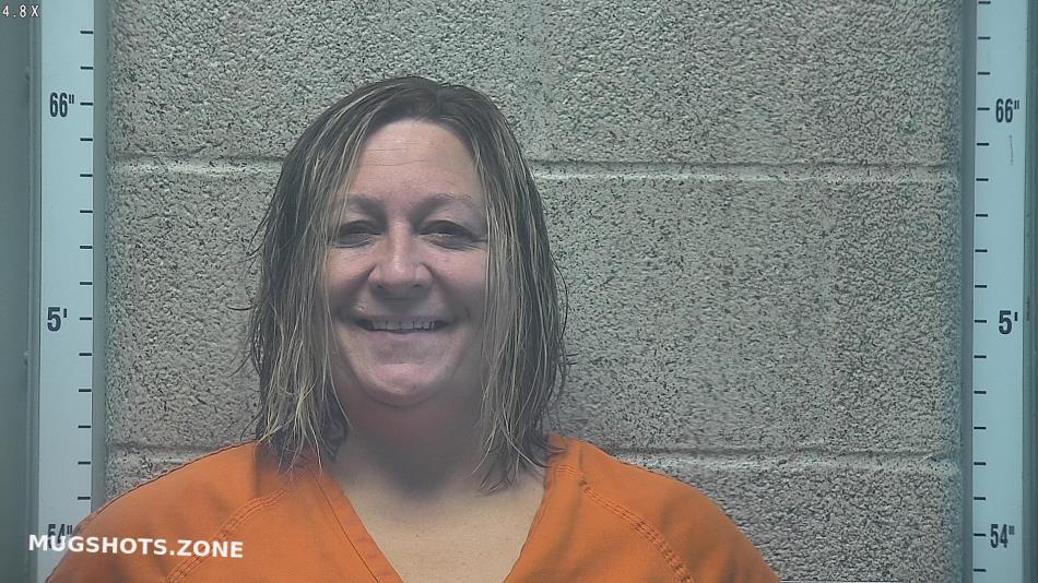 SISK CHRISTINA D 05/29/2025 - Henderson County Mugshots Zone