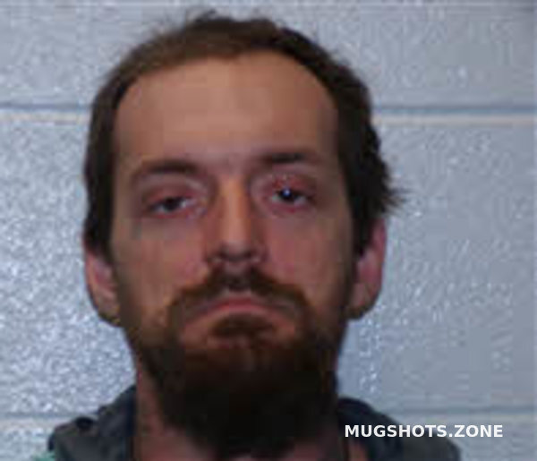 MCCRAW RONNIE WILLIAM 02/22/2025 Henderson County Mugshots Zone