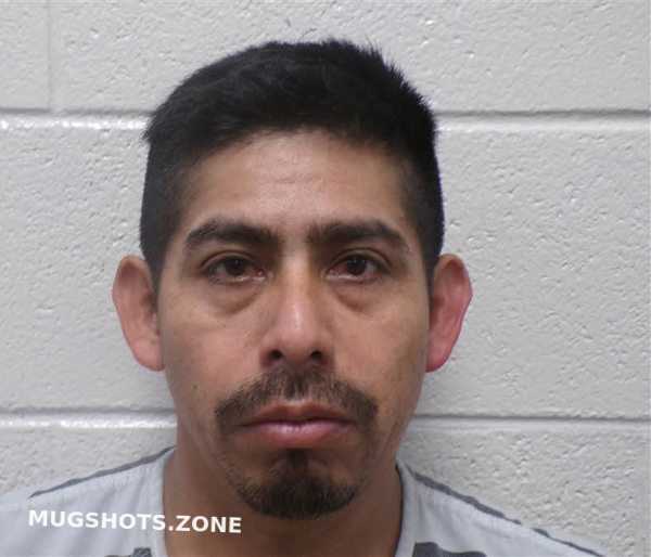 HERNANDEZ FELIX NMN 03/16/2025 Henderson County Mugshots Zone