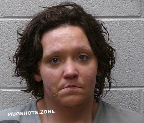 JENKINS LESLEY DANIELLE 03/31/2025 Henderson County Mugshots Zone