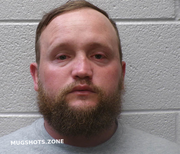 HEATHERLY BUTCH LEVI 07/29/2025 Henderson County Mugshots Zone