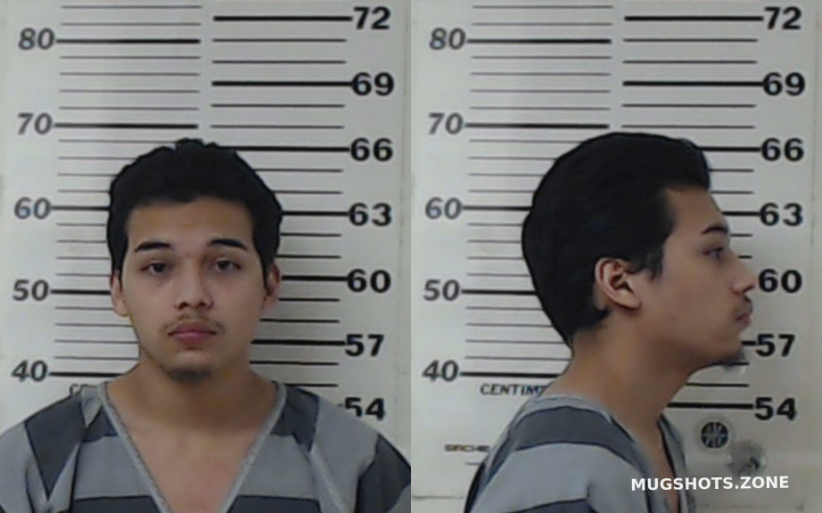 PEREZ YAHIR HERNAN 01/28/2023 - Henderson County Mugshots Zone