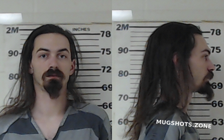 ALEXANDER BRANDEN DEAN 01/31/2023 - Henderson County Mugshots Zone