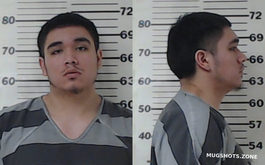 Agustin Nicholas Ray 02082023 Henderson County Mugshots Zone