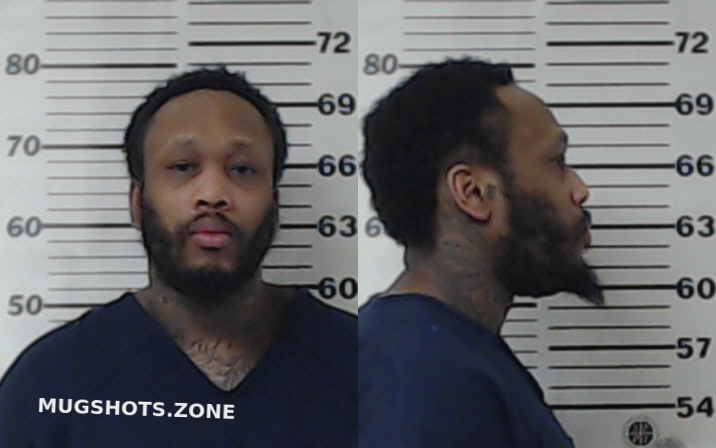 Orange Labryson 02282023 Henderson County Mugshots Zone