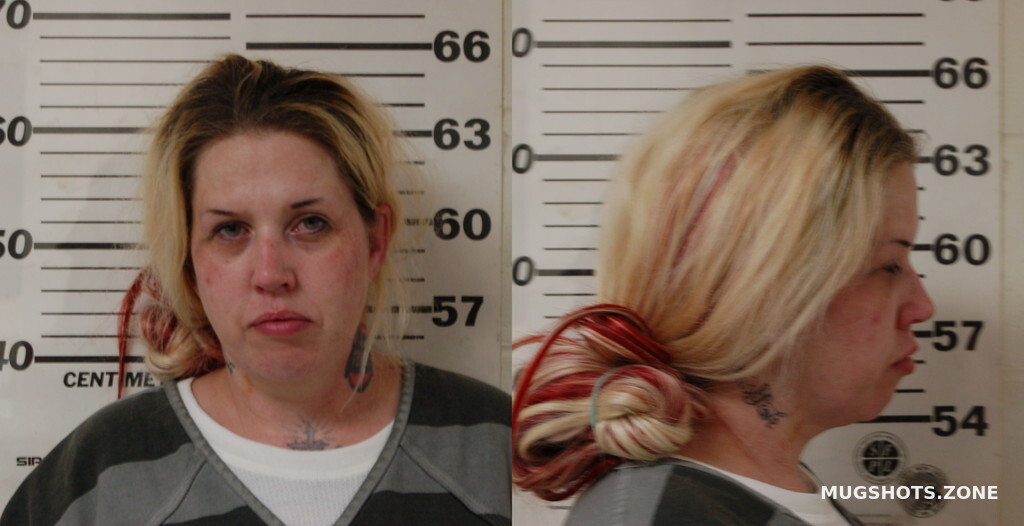 BULLOCK BRANDY NICOLE 01/05/2024 Henderson County Mugshots Zone