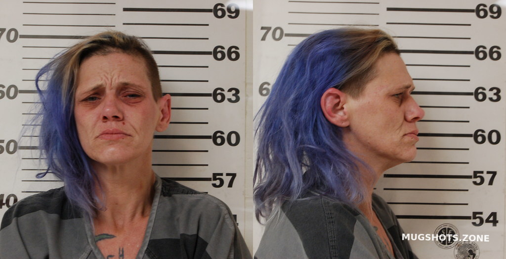 BARTLETT CHRYSTAL ANN 02/03/2024 Henderson County Mugshots Zone