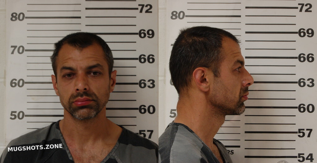 LUCA MARIAN 02/16/2024 Henderson County Mugshots Zone