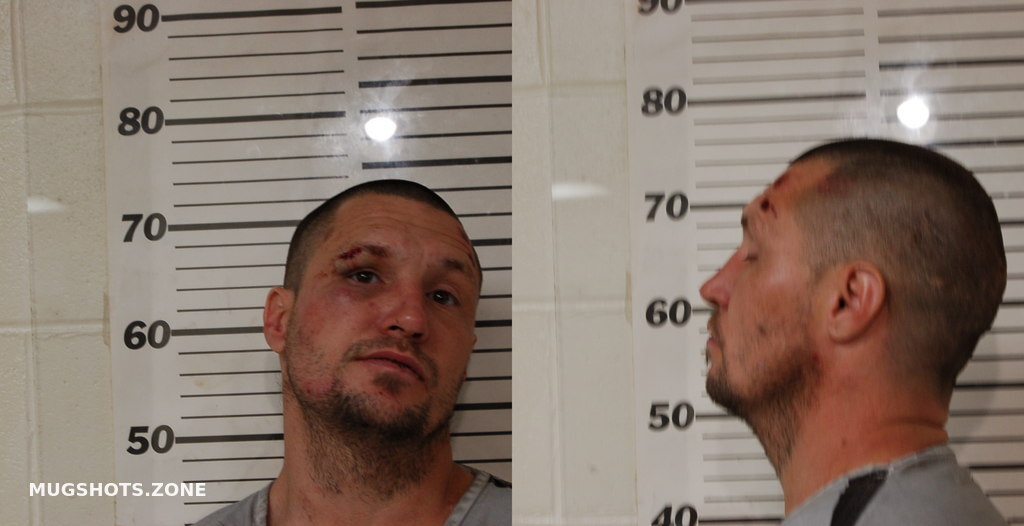 MCADAMS JOSHUA DAVID 03/13/2024 Henderson County Mugshots Zone