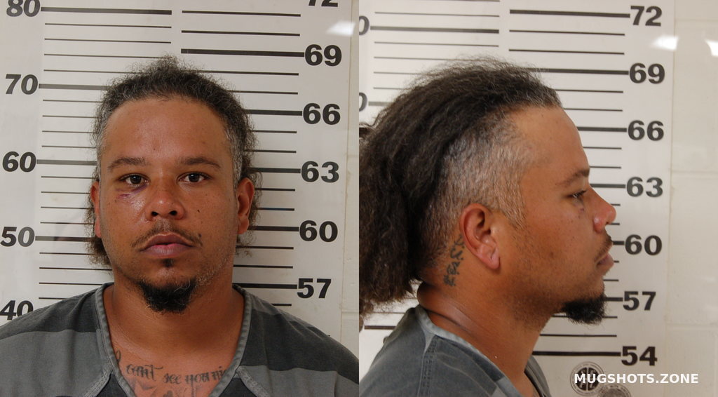 JUSTIN PAUL LEE 05/29/2024 Henderson County Mugshots Zone
