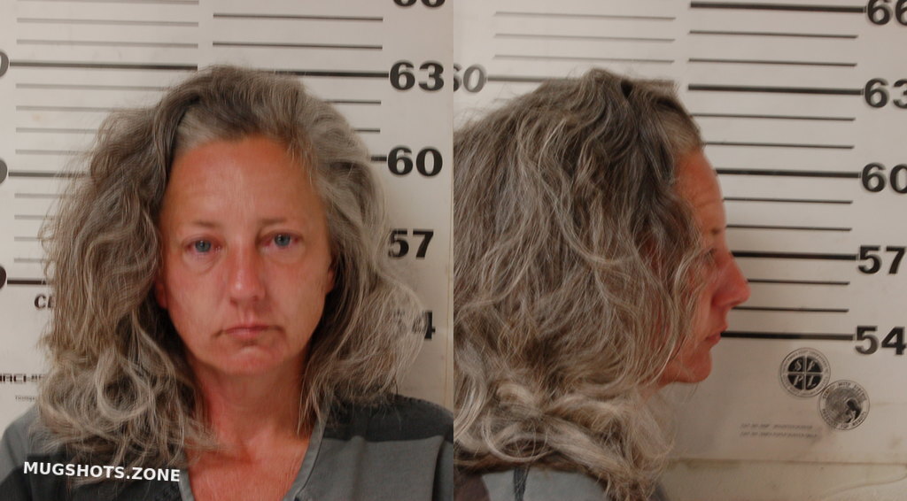 HOUSTON SARAH DENISE 06/20/2024 Henderson County Mugshots Zone