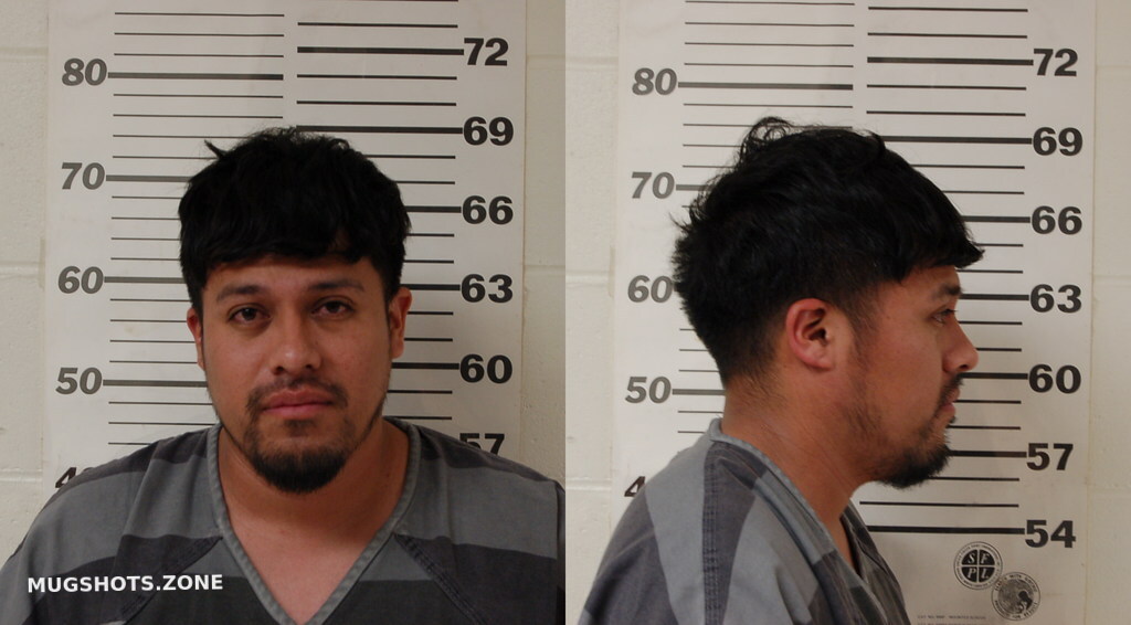 MENDOZA ROBLES MARIO CESAR 08/04/2024 Henderson County Mugshots Zone