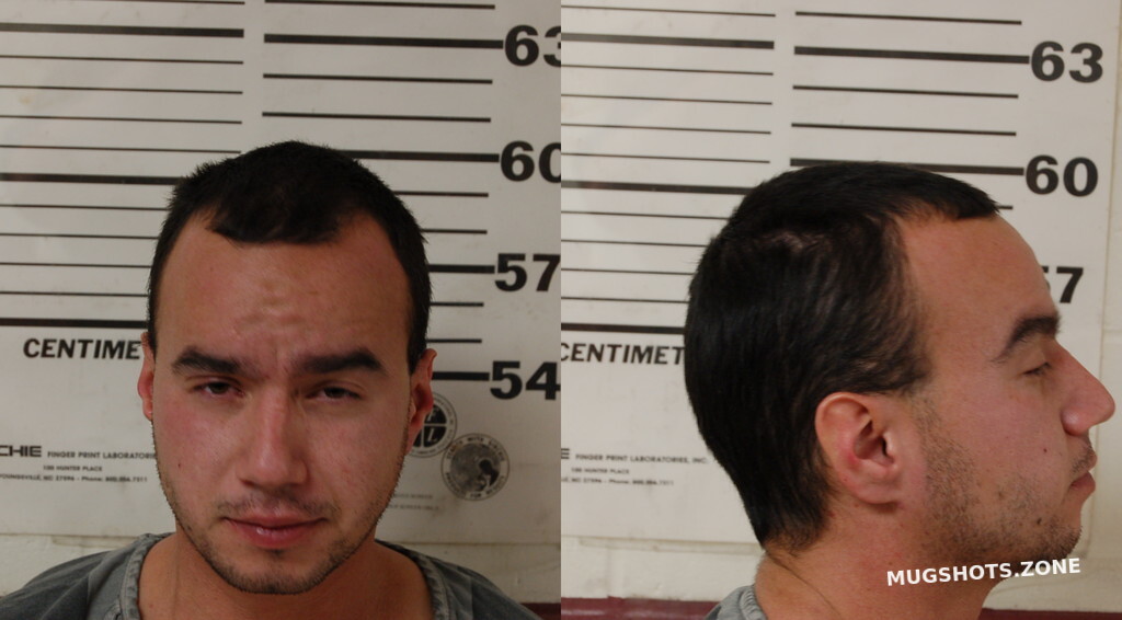 HUDMON SEAN ALAN 01/03/2025 Henderson County Mugshots Zone