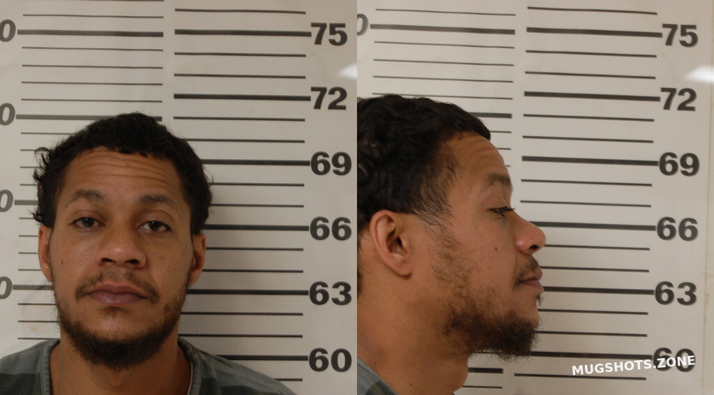 TAYLOR ROBERT MATTHEW 03/07/2025 - Henderson County Mugshots Zone