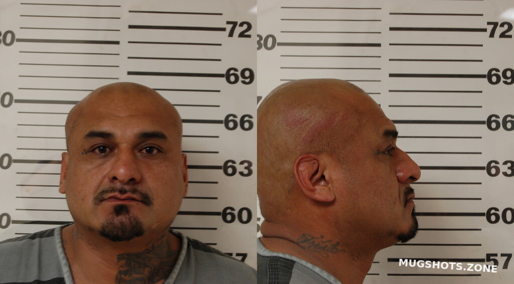 SALDIVAR JESUS 03/08/2025 Henderson County Mugshots Zone