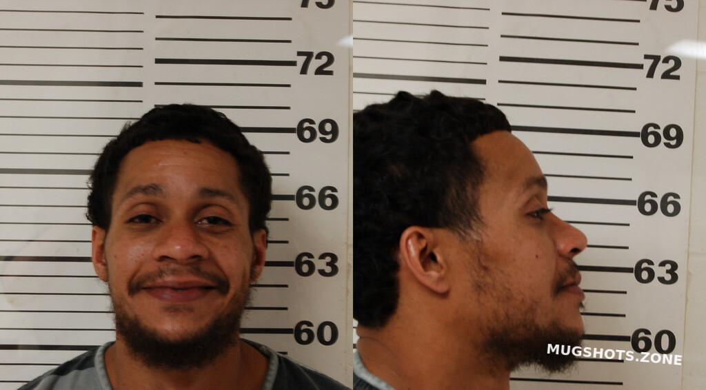 TAYLOR ROBERT MATTHEW 03/14/2025 - Henderson County Mugshots Zone