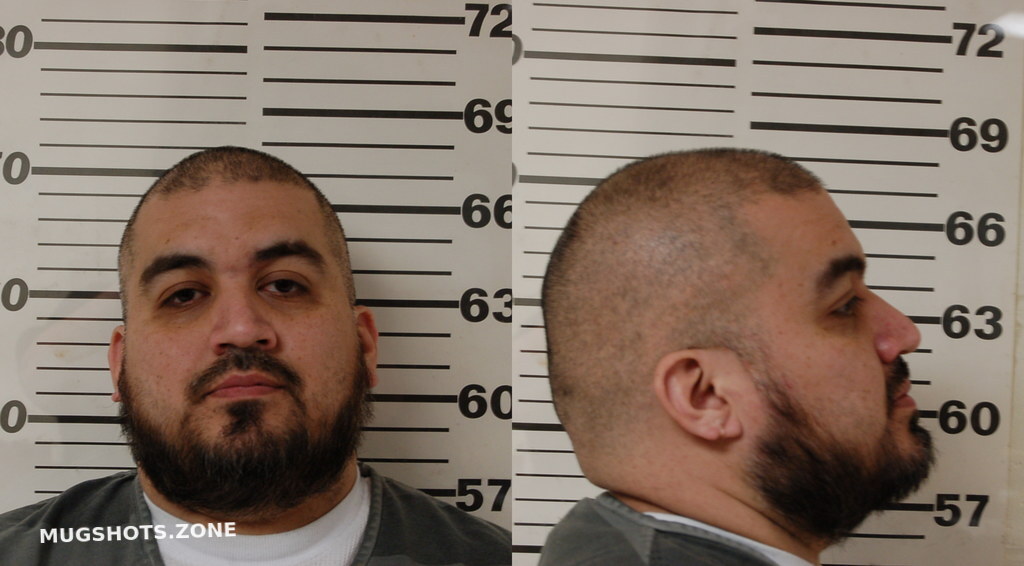RAMIREZ JAVIER 03/14/2025 Henderson County Mugshots Zone