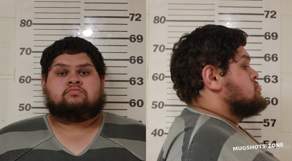 PINEDA RYAN ALEXANDER 07/11/2025 - Henderson County Mugshots Zone