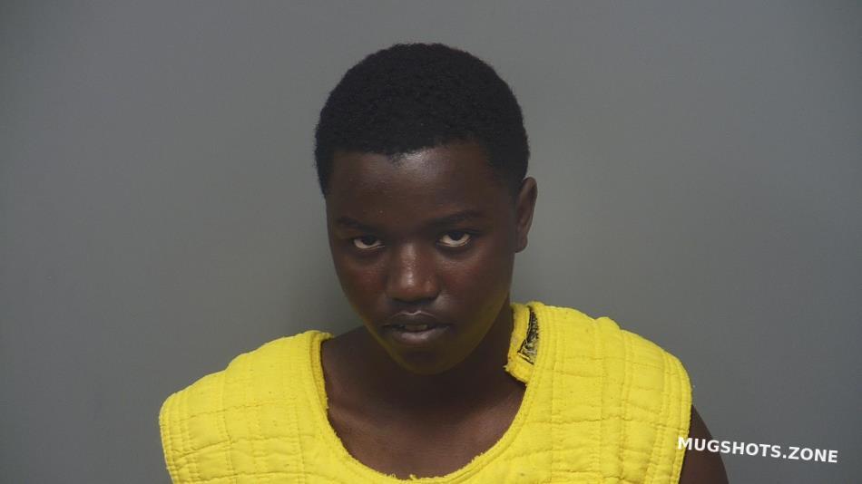 HABIMANA MERCI NMI 05/20/2024 Hendricks County Mugshots Zone
