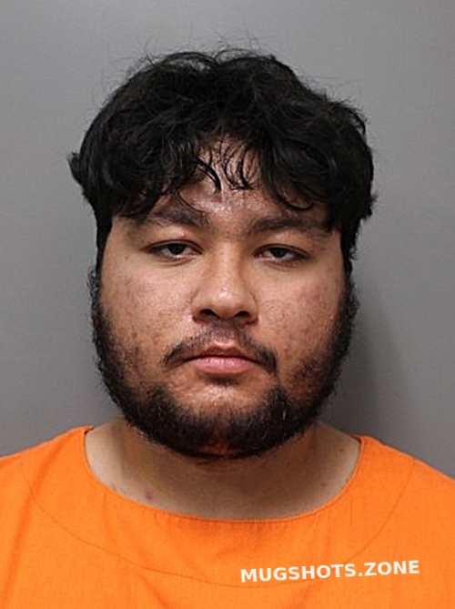 HOSSEINI MAHDI 08/30/2025 Hendricks County Mugshots Zone(02)