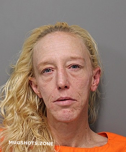 DOWLING SUSAN 12/24/2025 Hendricks County Mugshots Zone