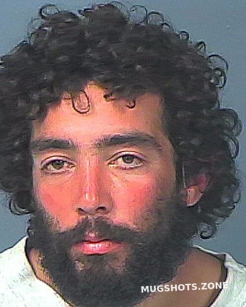 Niculae Alexandru Munir 12152021 Hernando County Mugshots Zone