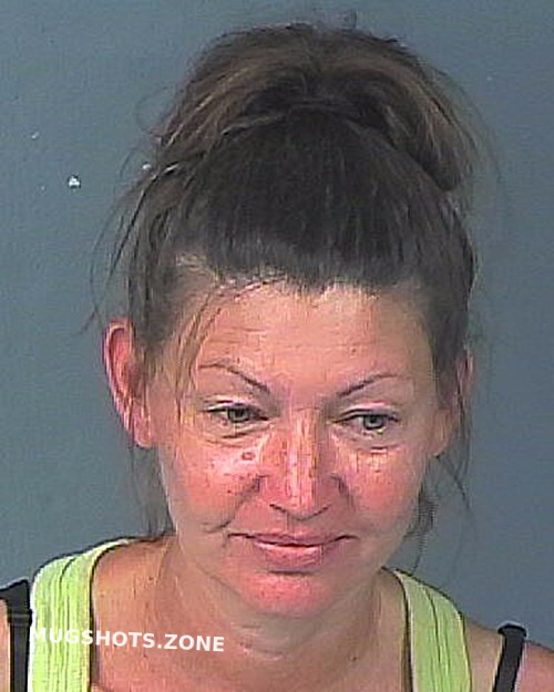 DIBATTISTA JESSICA LYNN 06/01/2022 - Hernando County Mugshots Zone