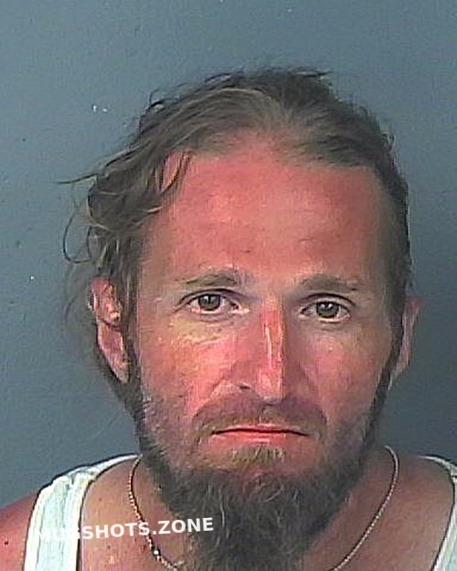 Taylor William Zachary 06 17 2022 Hernando County Mugshots Zone