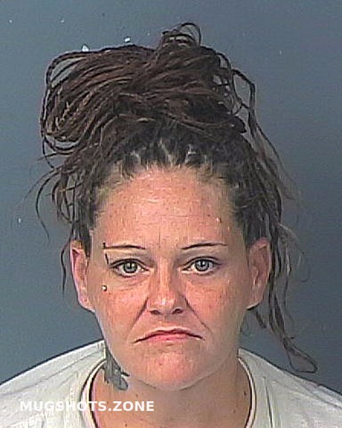 Davis Nicole Lee 08042022 Hernando County Mugshots Zone 