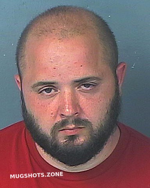 RAMOS GIOVANNI 11/11/2022 Hernando County Mugshots Zone