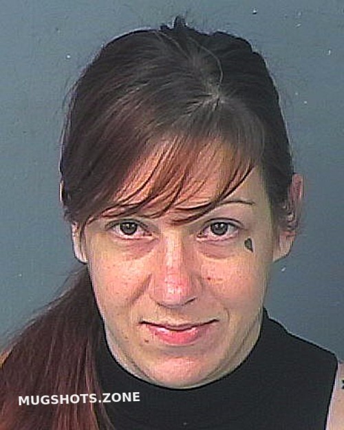 Schiller Casey Tamyra 11 15 2022 Hernando County Mugshots Zone