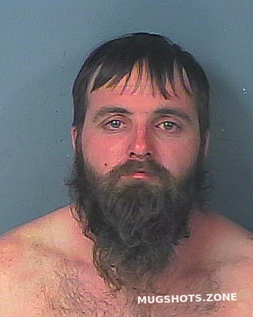 VINSON BRIAN LEE 11/16/2022 Hernando County Mugshots Zone