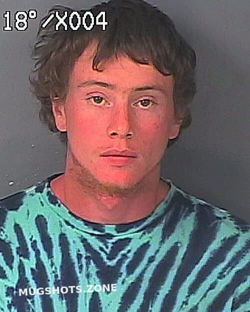 Pine Justin James 11192022 Hernando County Mugshots Zone