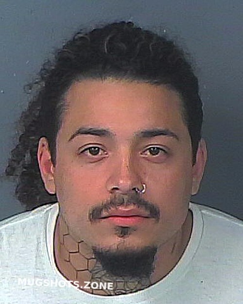 Class Rafael 11192022 Hernando County Mugshots Zone