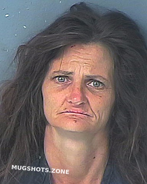 Brown Anissa Jo 11 23 2022 Hernando County Mugshots Zone