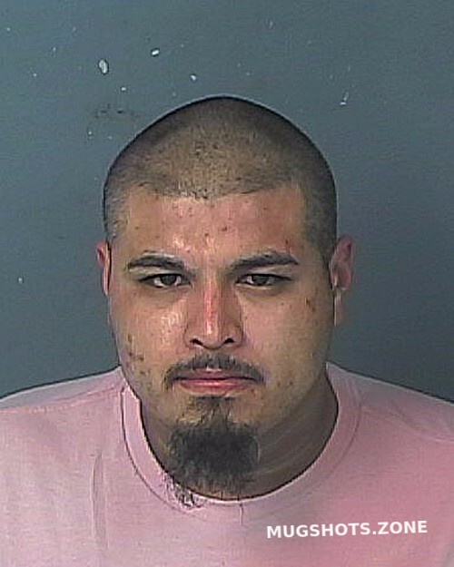 Saucedo Luis Andres 11262022 Hernando County Mugshots Zone