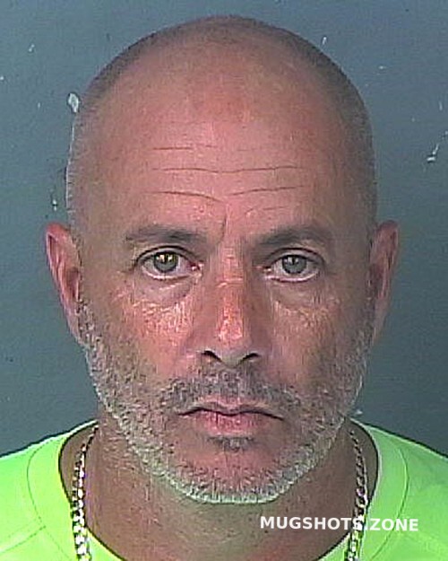 Nardi Ciro 12092022 Hernando County Mugshots Zone